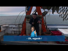 https://image.noelshack.com/minis/2018/07/7/1518988870-oh.png