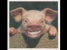 https://image.noelshack.com/minis/2018/07/7/1518989262-images.png