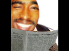 https://image.noelshack.com/fichiers/2018/08/1/1518994890-tupac-journal-by-jyoopo.png