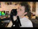 https://image.noelshack.com/minis/2018/08/1/1519073364-norman-mon-nouveau-chat-youtube-mozilla-firefox-0.png
