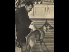https://image.noelshack.com/minis/2018/08/1/1519073436-hitler-blondi-2.png