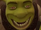 https://image.noelshack.com/fichiers/2018/08/2/1519115614-shrek-gronky-krankin.png