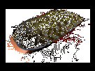 https://image.noelshack.com/minis/2018/08/2/1519155486-kirbicornichon.png