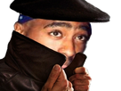 https://image.noelshack.com/fichiers/2018/08/3/1519221483-tupac-cache-espion-by-jyoopo-2.png