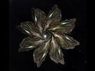 https://image.noelshack.com/fichiers/2018/08/3/1519232467-elite-dangerous-unknown-ship-hd.png