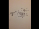 https://image.noelshack.com/minis/2018/08/5/1519372727-img-5027-1.png