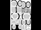 https://image.noelshack.com/fichiers/2018/08/6/1519427400-40c034ab1db0549d967c5d839bd9dddd2.png