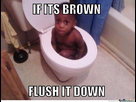 https://image.noelshack.com/minis/2018/08/6/1519490525-if-its-brown-flush-it-down-o-1146033.png