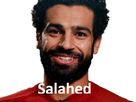 https://image.noelshack.com/minis/2018/08/6/1519511629-salahedbg.png