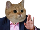 https://image.noelshack.com/fichiers/2018/08/7/1519514439-3f99c89a-a9b0-4d3f-9bbf-52d62e528a35.png