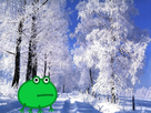 https://image.noelshack.com/minis/2018/08/7/1519589315-neige-grenouille.png