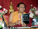 https://www.noelshack.com/2018-09-3-1519820818-dzogchen-ponlop-rinpoche.jpg