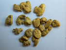 Has-Anyone-Panned-For-Gold?
