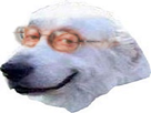 https://image.noelshack.com/fichiers/2018/09/5/1520018317-1495046228-chienchanceux.png