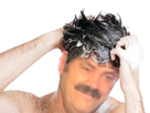 https://image.noelshack.com/fichiers/2018/09/6/1520108584-risitas-shampooing.png