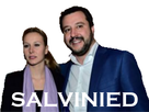 https://image.noelshack.com/minis/2018/09/7/1520164349-salvini3.png