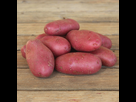 https://image.noelshack.com/minis/2018/09/7/1520188915-pomme-de-terre.png
