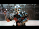 https://image.noelshack.com/fichiers/2018/10/1/1520266531-gladiator-tigris-of-gaul-e1297257581462.jpg
