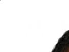 https://image.noelshack.com/fichiers/2018/10/2/1520321849-2-lnby1lpn.png