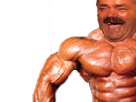 https://image.noelshack.com/fichiers/2018/10/3/1520450107-1479343542-risitasgomuscu4.png