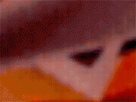 https://image.noelshack.com/minis/2018/10/4/1520473968-crash-13.png