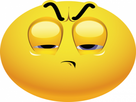 https://image.noelshack.com/fichiers/2018/10/4/1520506629-img-2-11938-smiley-septique-480x360.png