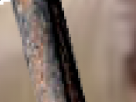 https://image.noelshack.com/minis/2018/10/4/1520549248-69-xv5ioduy.png