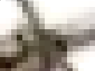 https://image.noelshack.com/minis/2018/10/4/1520549513-10-43kiftfp.png