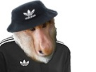https://image.noelshack.com/minis/2018/10/6/1520707351-bobsinge1.png