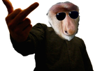 https://image.noelshack.com/minis/2018/10/7/1520789094-1478086775-vald1.png