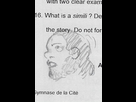 https://image.noelshack.com/fichiers/2018/10/7/1520790694-croquis-2-37.jpeg