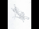 https://image.noelshack.com/fichiers/2018/10/7/1520790718-croquis-2.jpeg
