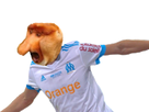 https://image.noelshack.com/fichiers/2018/10/7/1520797595-1517414808-thauvin.png