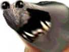 https://image.noelshack.com/minis/2018/11/1/1520854088-35198.png