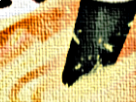 https://image.noelshack.com/minis/2018/11/1/1520865291-50-0q007h5u.png