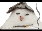 https://image.noelshack.com/fichiers/2018/11/3/1520984648-bonhomme-de-neige-normal-cigarette.png