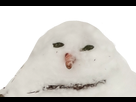 https://image.noelshack.com/fichiers/2018/11/3/1520985040-bonhomme-de-neige-sans-chapeau.png