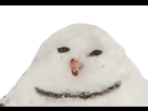 https://image.noelshack.com/fichiers/2018/11/3/1520985067-bonhomme-de-neige-sourire.png