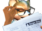 https://image.noelshack.com/minis/2018/11/3/1521023706-fox-170.png