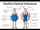 https://image.noelshack.com/minis/2018/11/3/1521067858-benefits-of-optimal-tesosterone.png