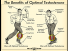 https://image.noelshack.com/minis/2018/11/3/1521067861-testosterone-21.png