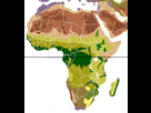 https://image.noelshack.com/minis/2018/11/6/1521303566-220px-vegetation-africa-blank2.png