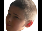 https://image.noelshack.com/fichiers/2018/12/1/1521483631-rudeusstickerrisibank.png
