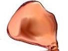 https://image.noelshack.com/fichiers/2018/12/2/1521535563-95386.jpg