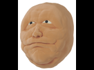 https://image.noelshack.com/minis/2018/12/3/1521646328-gar442.png