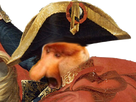 https://image.noelshack.com/minis/2018/12/4/1521676467-3339-full.png