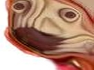 https://image.noelshack.com/minis/2018/12/4/1521719225-34986.png