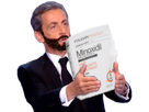 https://image.noelshack.com/minis/2018/12/5/1521759762-sarkominox.png