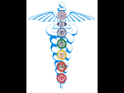 https://image.noelshack.com/fichiers/2018/12/6/1521864951-chakras-caduceus.jpeg
