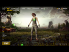 https://image.noelshack.com/fichiers/2018/12/7/1521989122-bug-vert-pubg.png